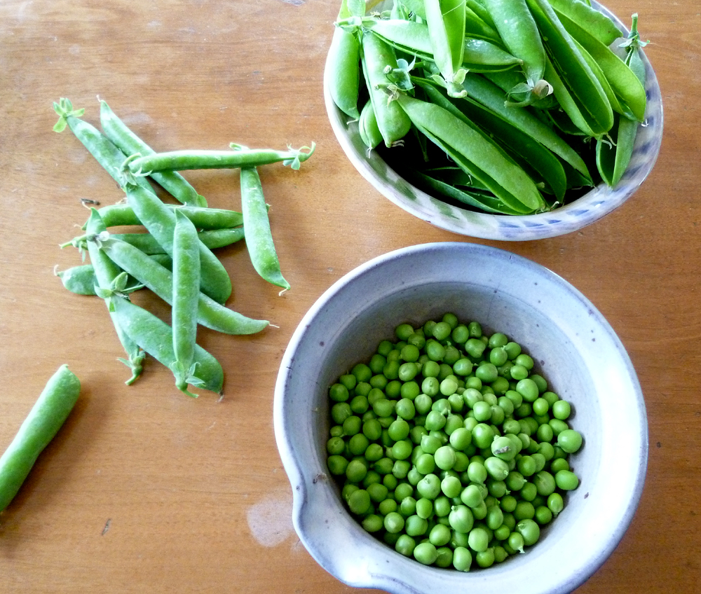 shelling peas
