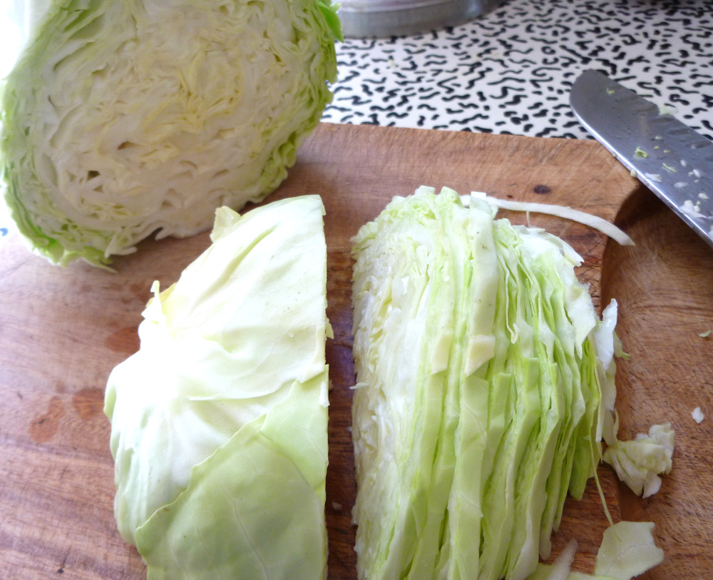 cabbage