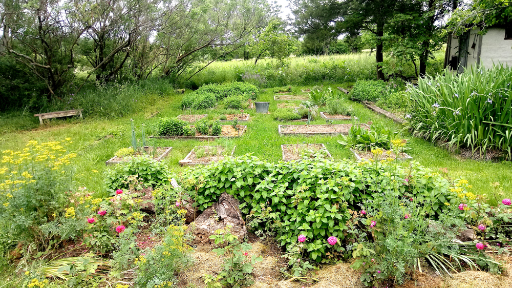 layout of culinary garden 2