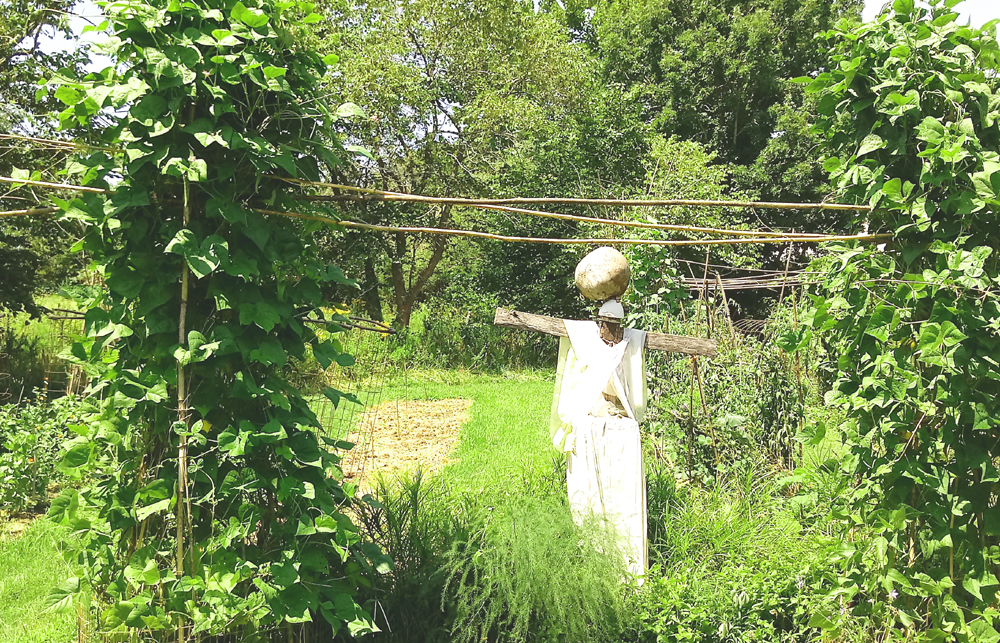 Our Lady with Cherokee Trail of Tears beans on teepees2