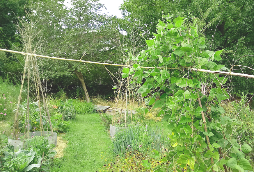 shot of teepees with wire barriers 2